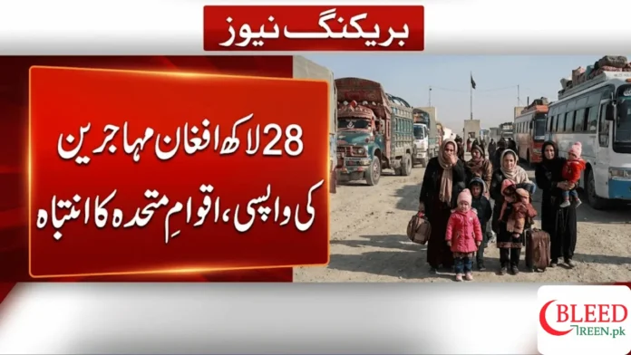 2.8 Million Afghans Return Home in 2025 as Humanitarian Crisis Deepens UNHCR