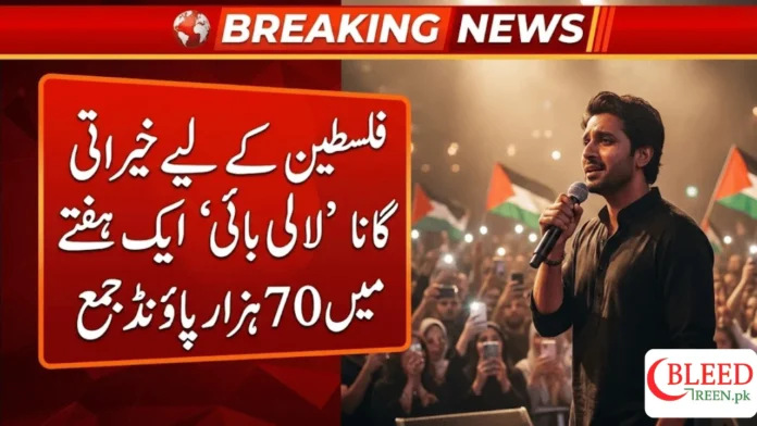 Charity Single ‘Lullaby’ Raises £70,000 in First Week for Palestine Relief Efforts