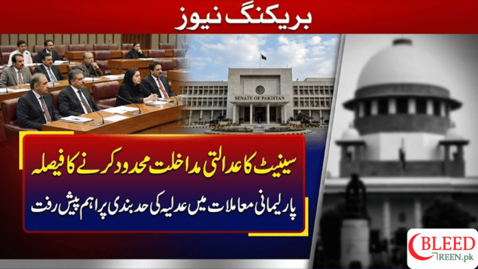 Senate Panel Moves to Redefine Limits on Judicial Intervention in Parliamentary Matters