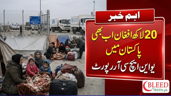 Two Million Afghans Still Residing in Pakistan, UNHCR Reports